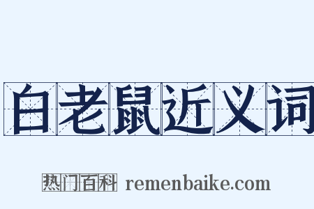 白老鼠近义词是什么意思的图片